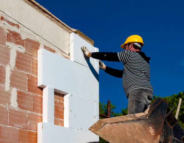 Best Insulation Inspection Services  in Taos Pueblo, NM