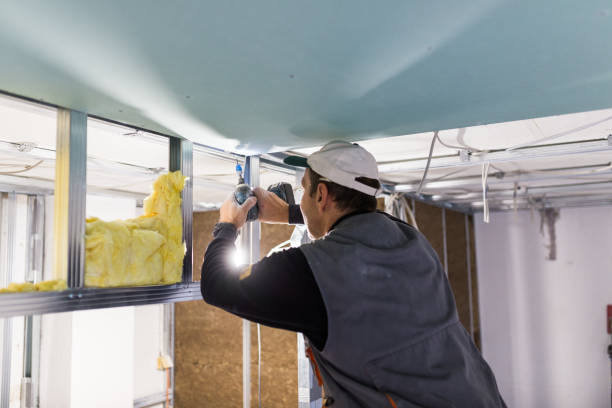 Insulation for Commercial Buildings in Taos Pueblo, NM