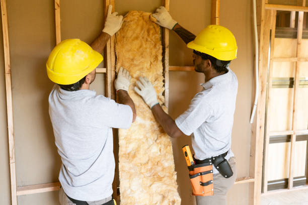Insulation Replacement Services in Taos Pueblo, NM