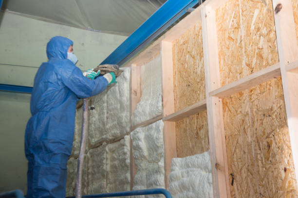 Insulation Inspection Services in Taos Pueblo, NM